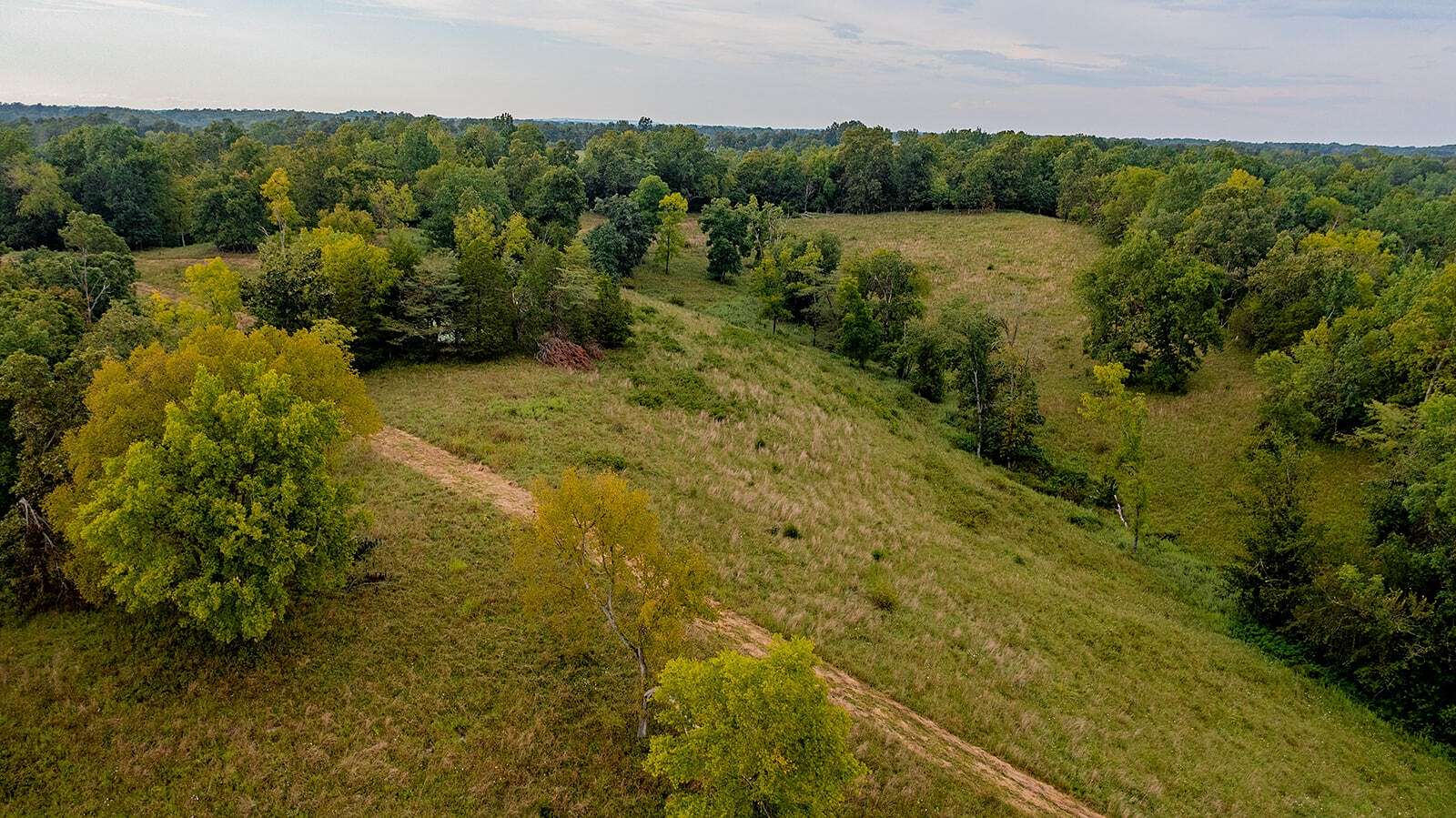 115 Acres of Recreational Land & Farm for Sale in Lawrenceburg, Kentucky