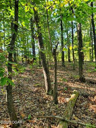 5 Acres of Residential Land for Sale in Cassville, Missouri