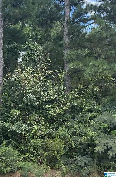 0.4 Acres of Land for Sale in Auburn, Alabama