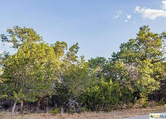 0.54 Acres of Residential Land for Sale in Spring Branch, Texas