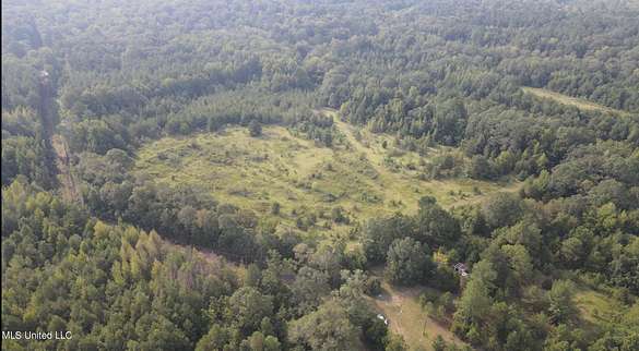 23.2 Acres of Land for Sale in Hermanville, Mississippi