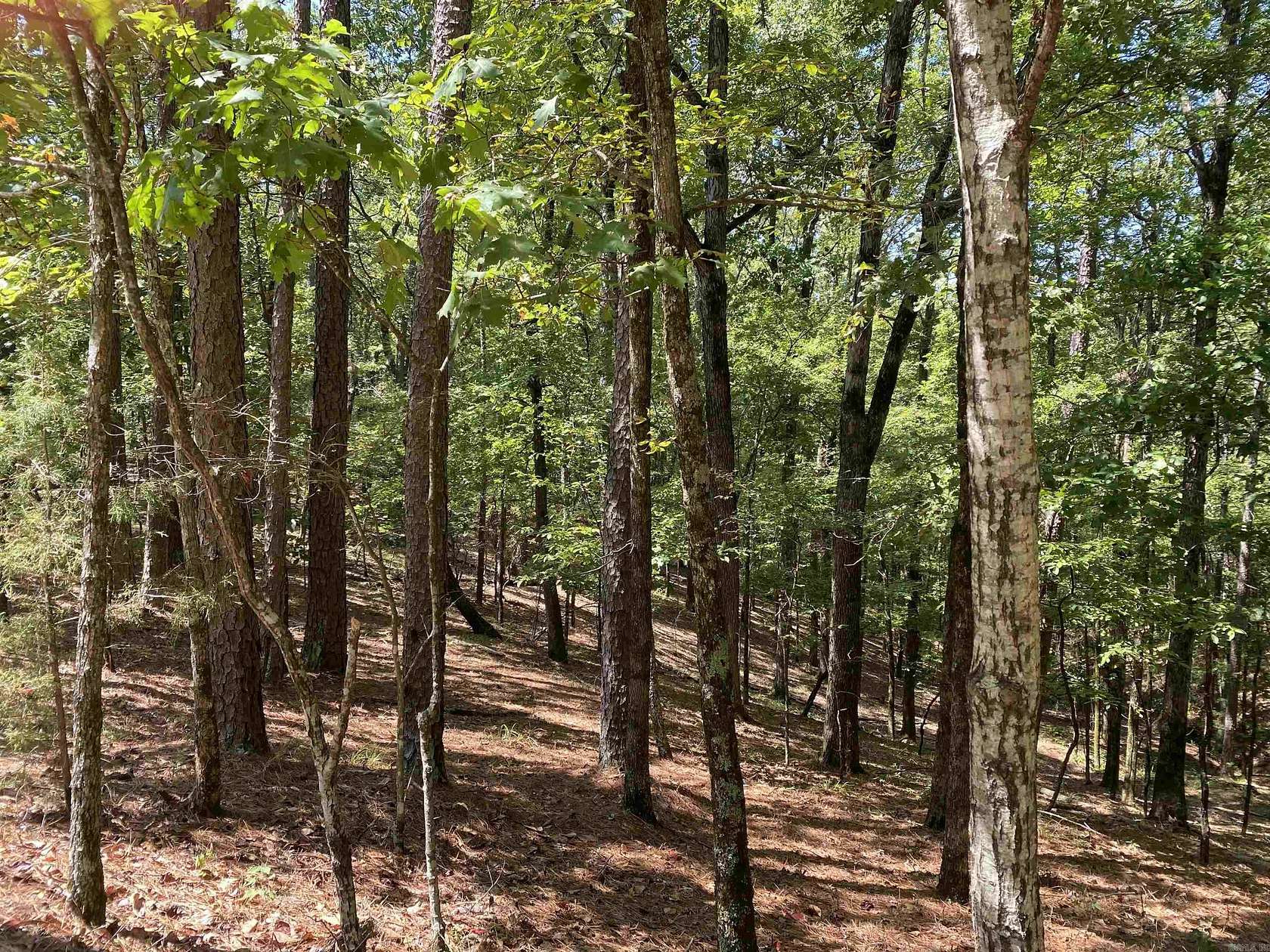 3 Acres of Residential Land for Sale in Mount Ida, Arkansas