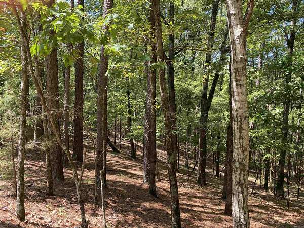 3 Acres of Residential Land for Sale in Mount Ida, Arkansas