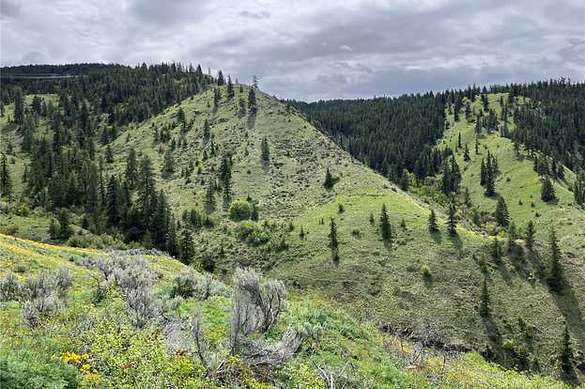 12.4 Acres of Recreational Land for Sale in Orondo, Washington