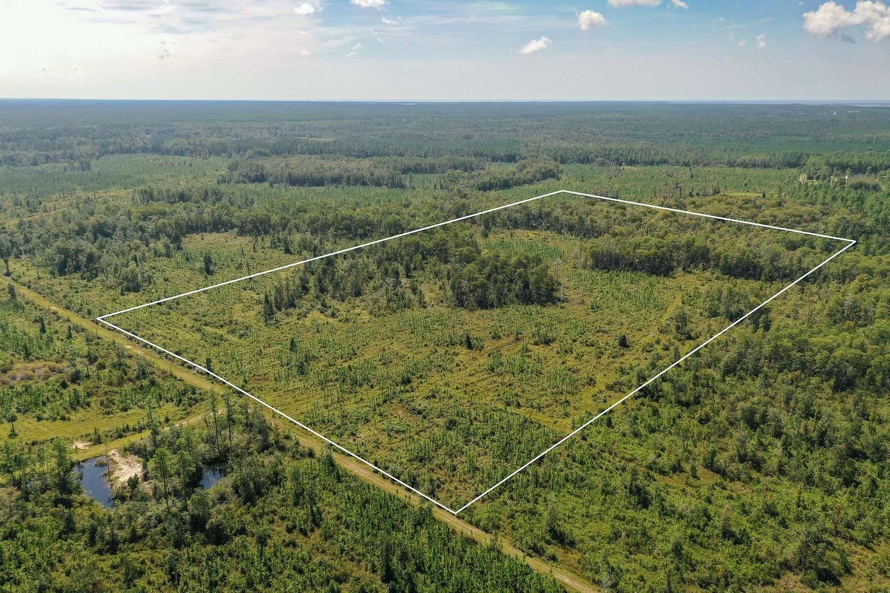 40.4 Acres of Recreational Land for Sale in Crawfordville, Florida