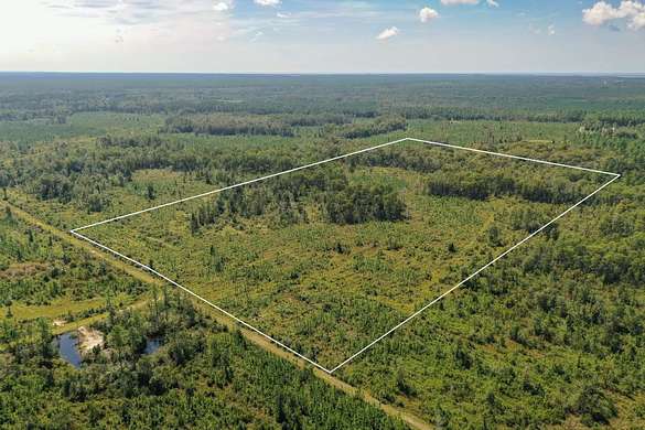 40.38 Acres of Recreational Land for Sale in Crawfordville, Florida