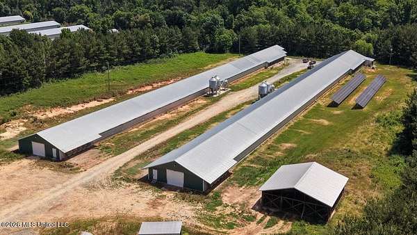 13 Acres of Land for Sale in Harperville, Mississippi