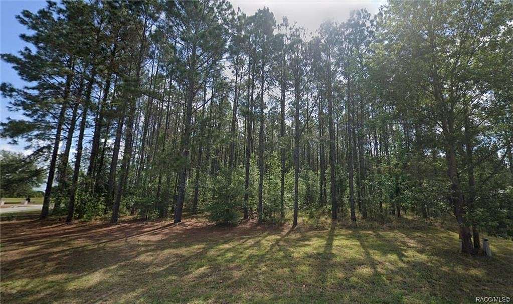 0.99 Acres of Land for Sale in Hernando, Florida