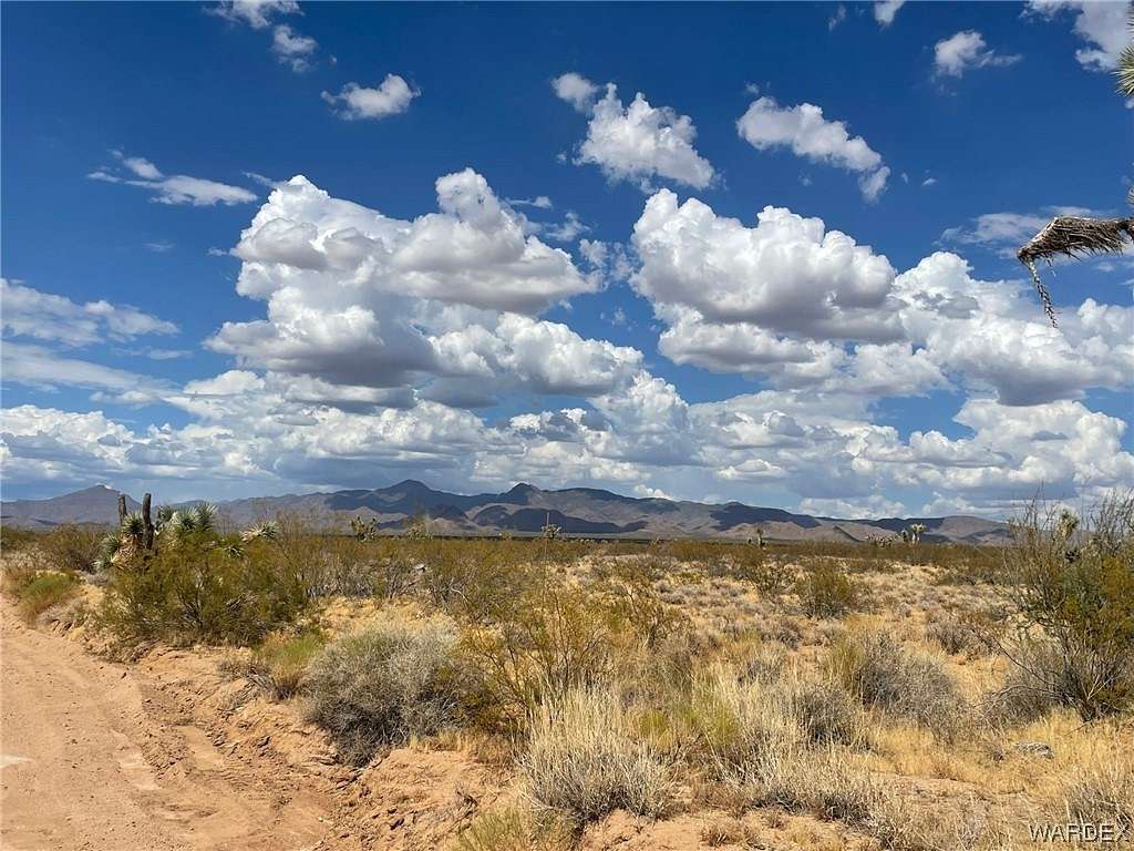 39 Acres of Agricultural Land for Sale in Yucca, Arizona