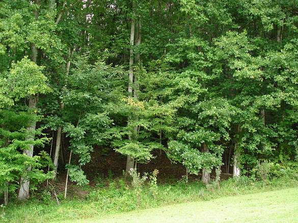 3.7 Acres of Residential Land for Sale in Roan Mountain, Tennessee