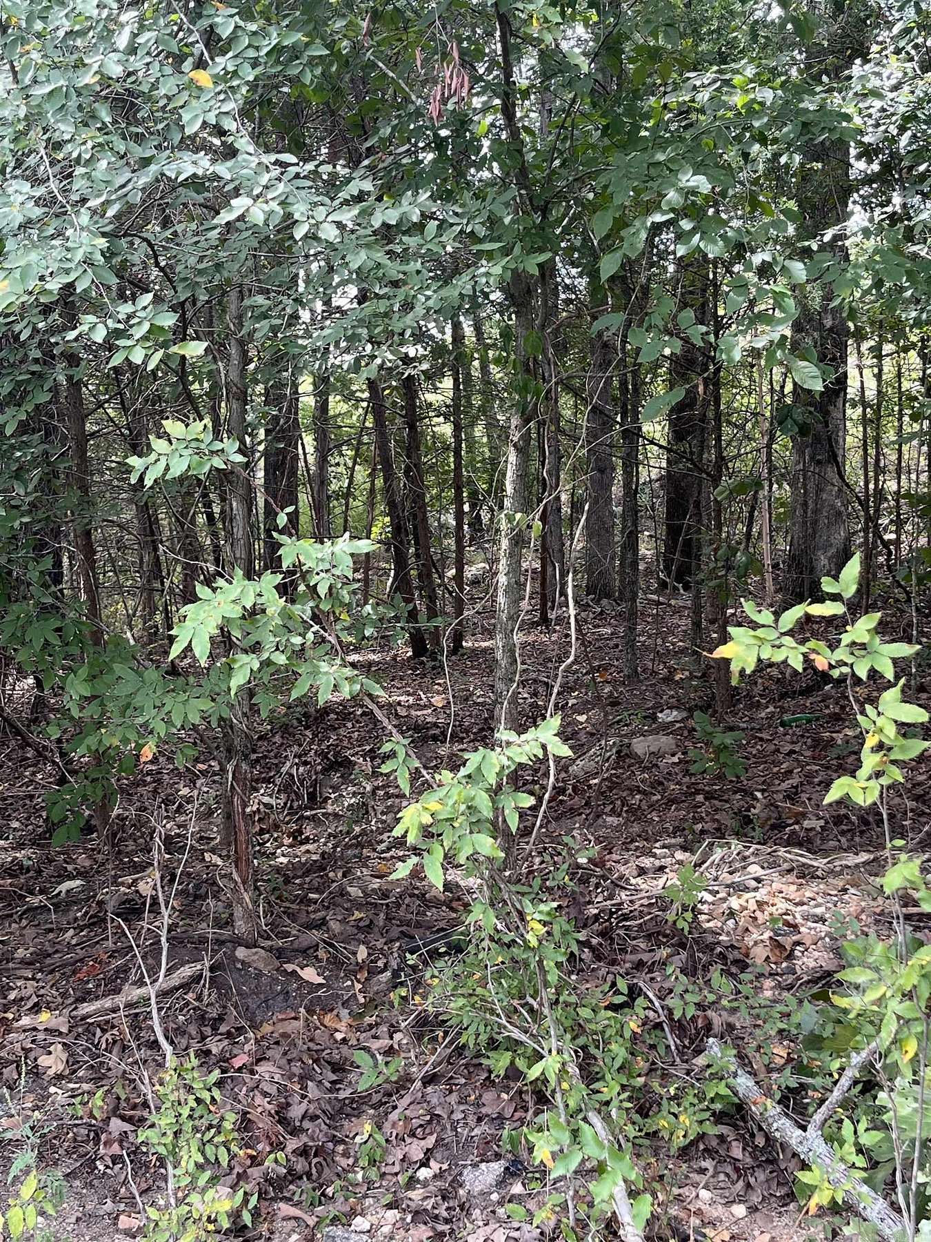 1.2 Acres of Residential Land for Sale in Mountain Pine, Arkansas