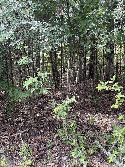 1.2 Acres of Residential Land for Sale in Mountain Pine, Arkansas