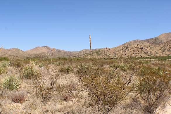 36.1 Acres of Land for Sale in St. David, Arizona