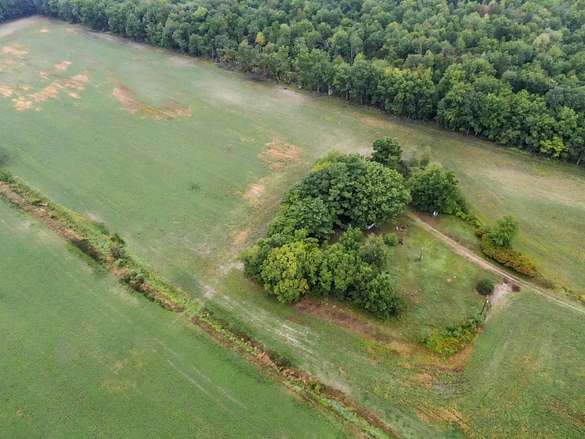 80 Acres of Recreational Land & Farm for Sale in Chesaning, Michigan
