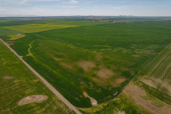 10.52 Acres of Land for Sale in Ford, Washington