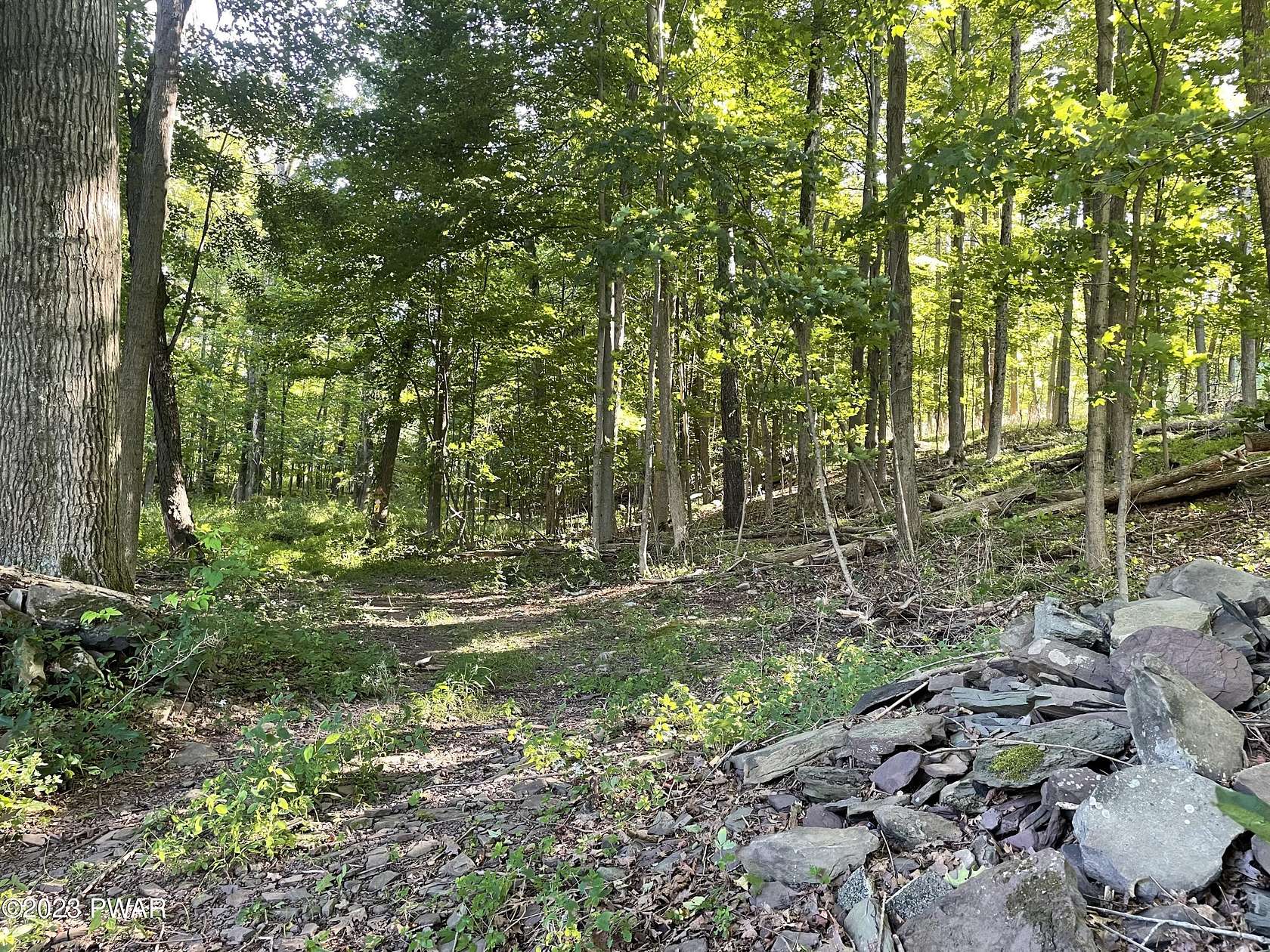 11.9 Acres of Recreational Land for Sale in Waymart, Pennsylvania
