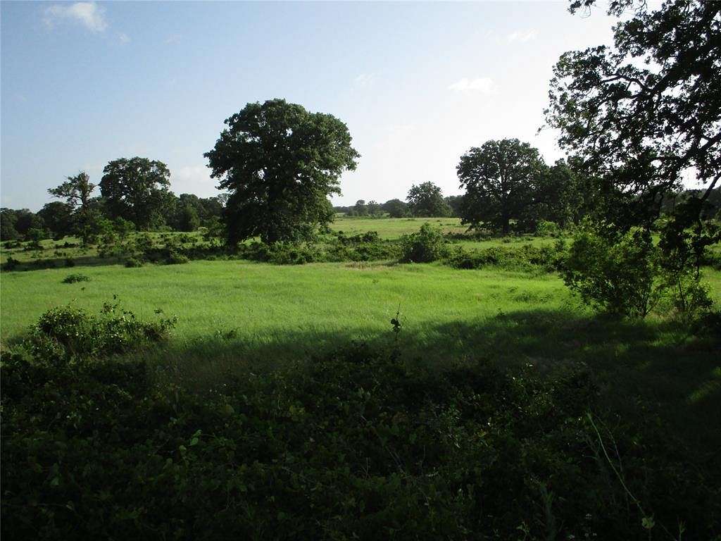 284 Acres of Agricultural Land for Sale in Bowie, Texas