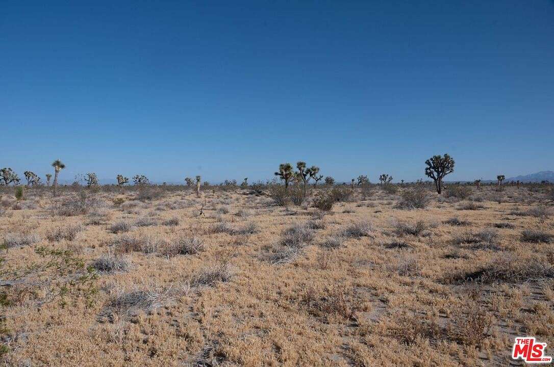 41 Acres of Land for Sale in Adelanto, California