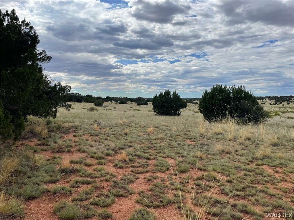 20 Acres of Agricultural Land for Sale in Seligman, Arizona