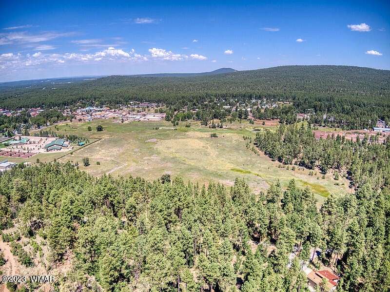 48.5 Acres of Mixed-Use Land for Sale in Pinetop, Arizona