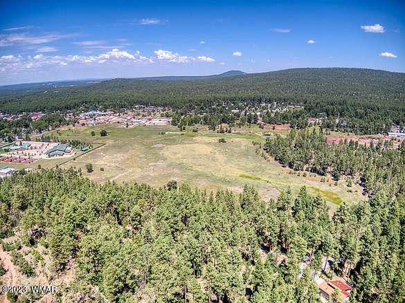 48.5 Acres of Mixed-Use Land for Sale in Pinetop, Arizona