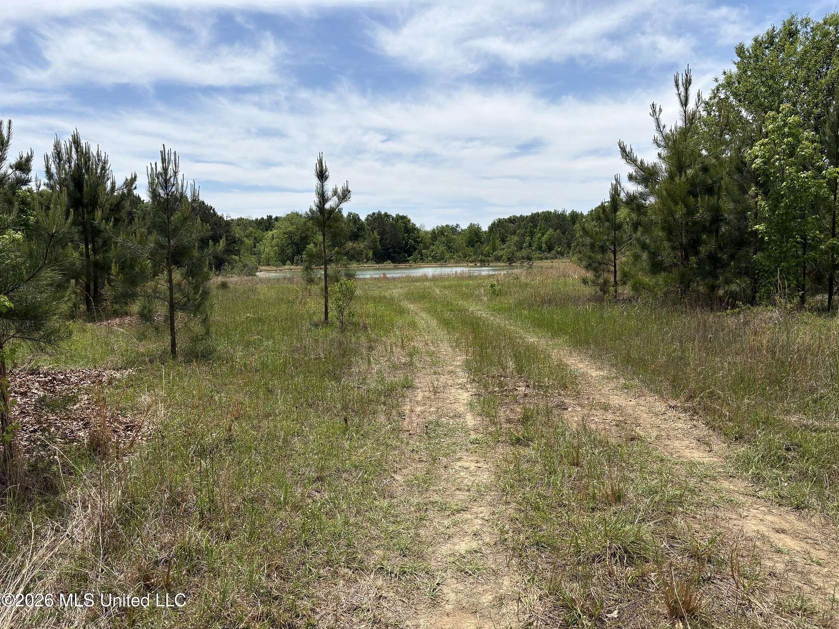 15.3 Acres of Land for Sale in Canton, Mississippi
