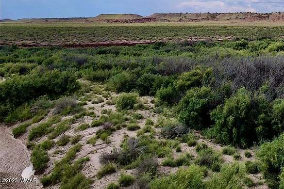 39.2 Acres of Agricultural Land for Sale in Concho, Arizona