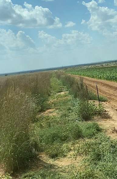 640 Acres of Recreational Land & Farm for Sale in Brownfield, Texas