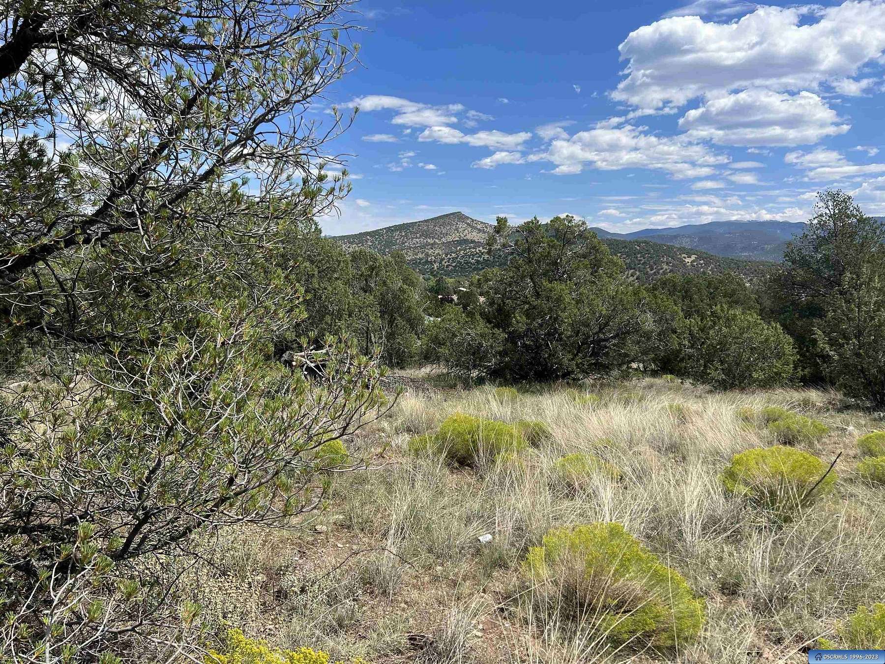 0.87 Acres of Residential Land for Sale in Reserve, New Mexico