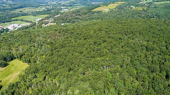 43 Acres of Land for Sale in Owego, New York