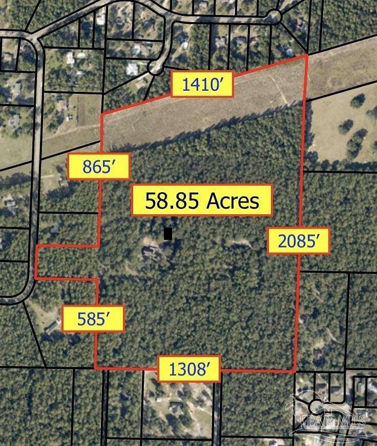 58.9 Acres of Land for Sale in Milton, Florida