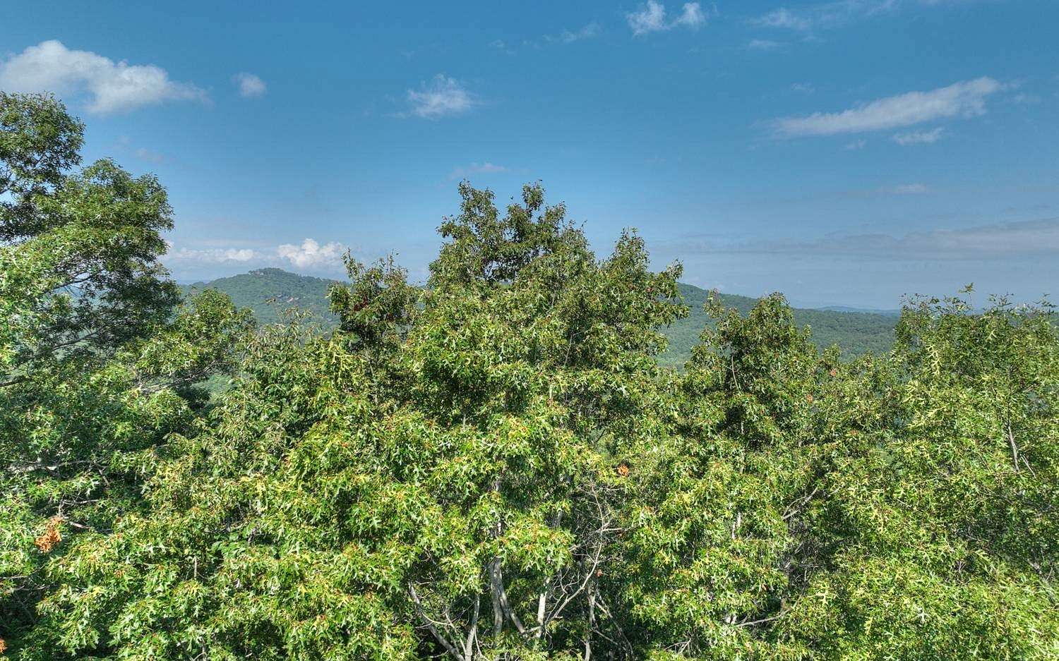 3.8 Acres of Residential Land for Sale in Blue Ridge, Georgia