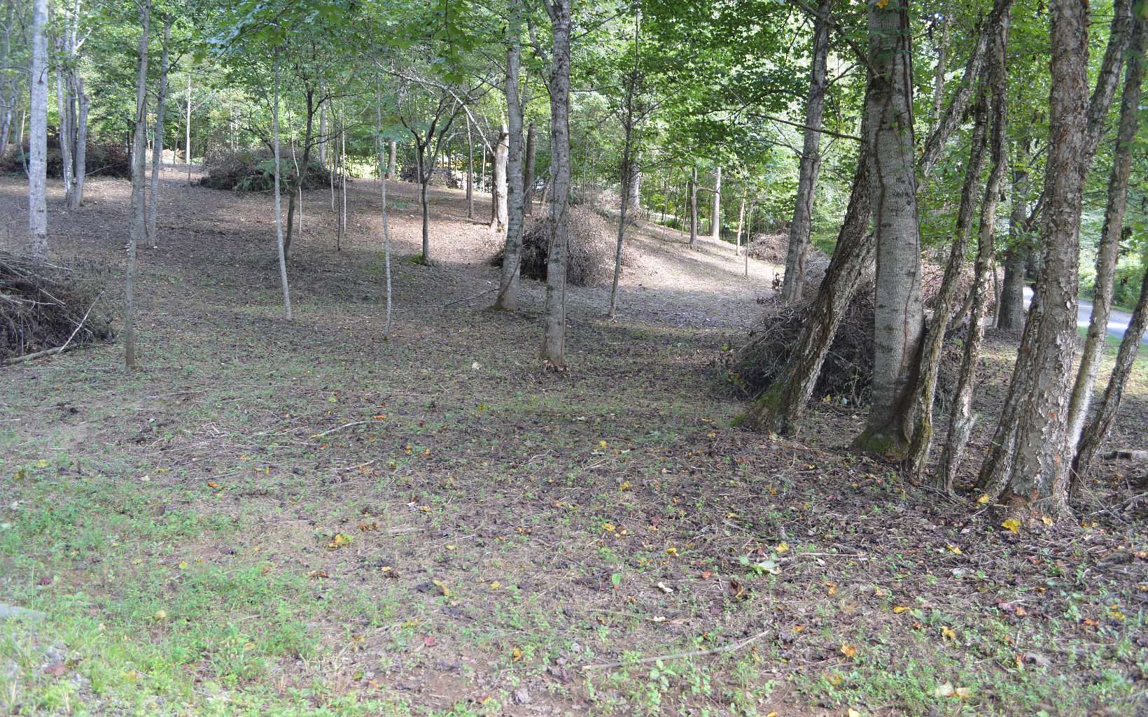 0.95 Acres of Land for Sale in Hayesville, North Carolina
