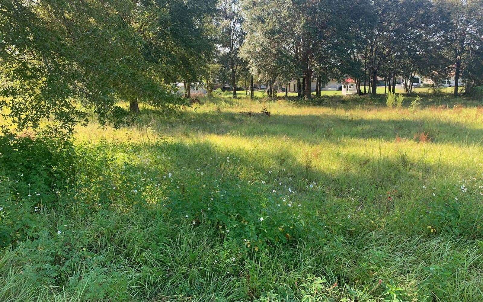 0.99 Acres of Residential Land for Sale in Lake City, Florida