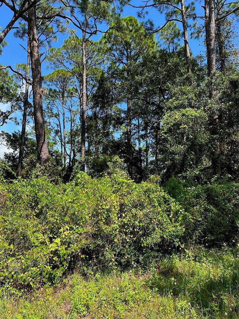 3.318 Acres of Residential Land for Sale in Eastpoint, Florida