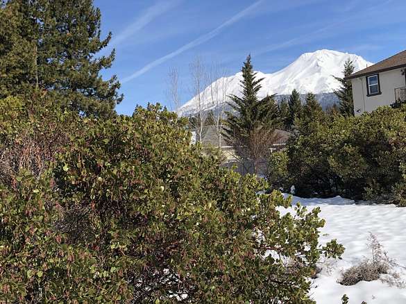 0.35 Acres of Residential Land for Sale in Mount Shasta, California
