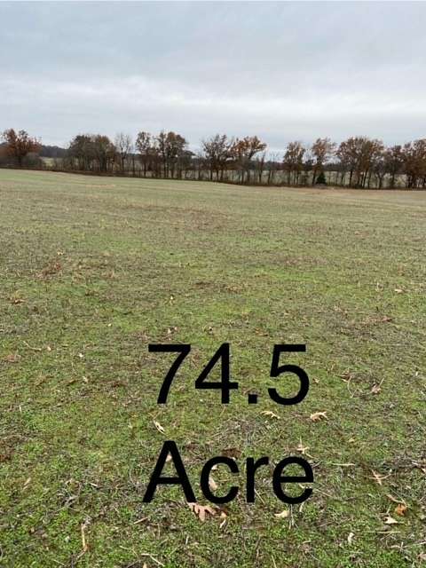74.5 Acres of Land for Sale in Puxico, Missouri