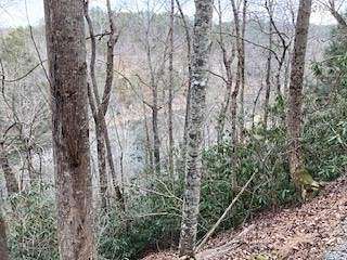 5.1 Acres of Residential Land for Sale in Ellijay, Georgia