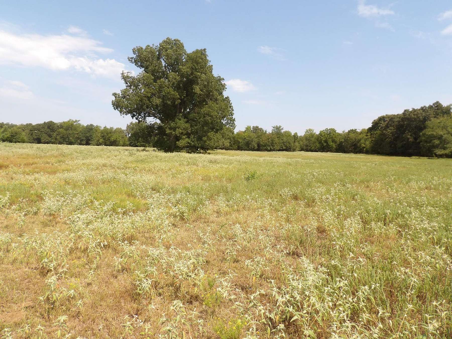520 Acres of Land for Sale in Boswell, Oklahoma