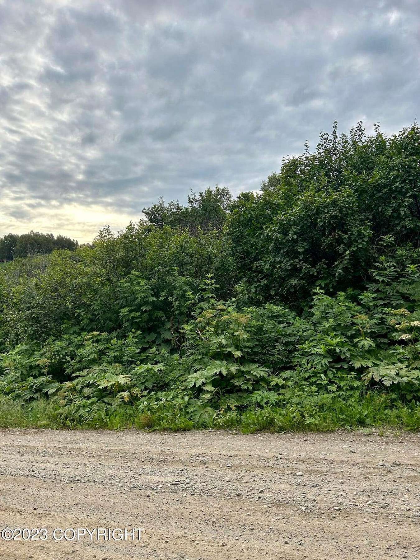 0.95 Acres of Residential Land for Sale in Nikiski, Alaska