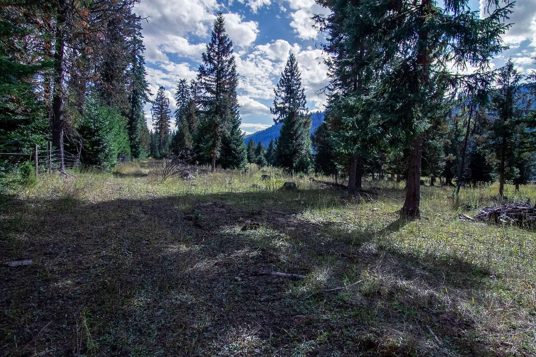 24 Acres of Recreational Land & Farm for Sale in Colville, Washington