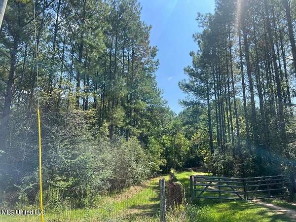 60.5 Acres of Recreational Land for Sale in Ocean Springs, Mississippi