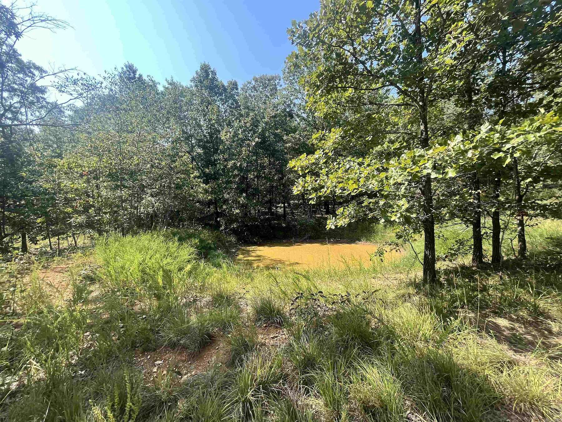 51 Acres of Recreational Land for Sale in Koshkonong, Missouri
