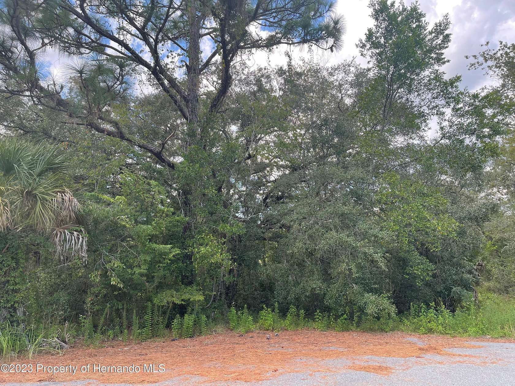 0.7 Acres of Residential Land for Sale in Brooksville, Florida