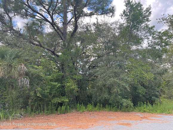 0.7 Acres of Residential Land for Sale in Brooksville, Florida
