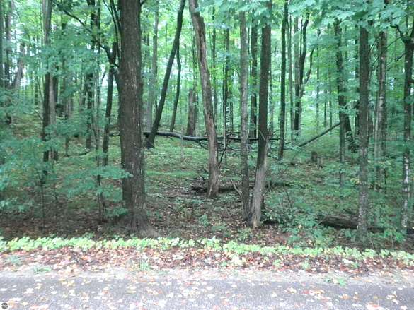 2 Acres of Residential Land for Sale in Mancelona, Michigan