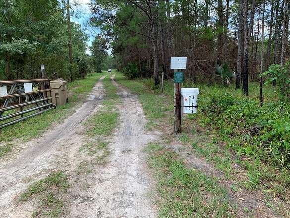 80 Acres of Agricultural Land for Sale in Eustis, Florida