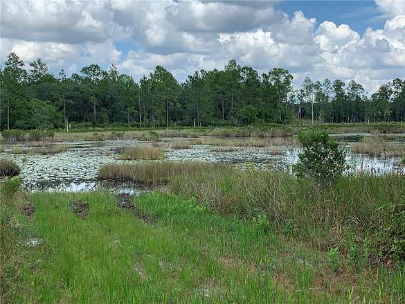 80 Acres of Recreational Land & Farm for Sale in Eustis, Florida ...