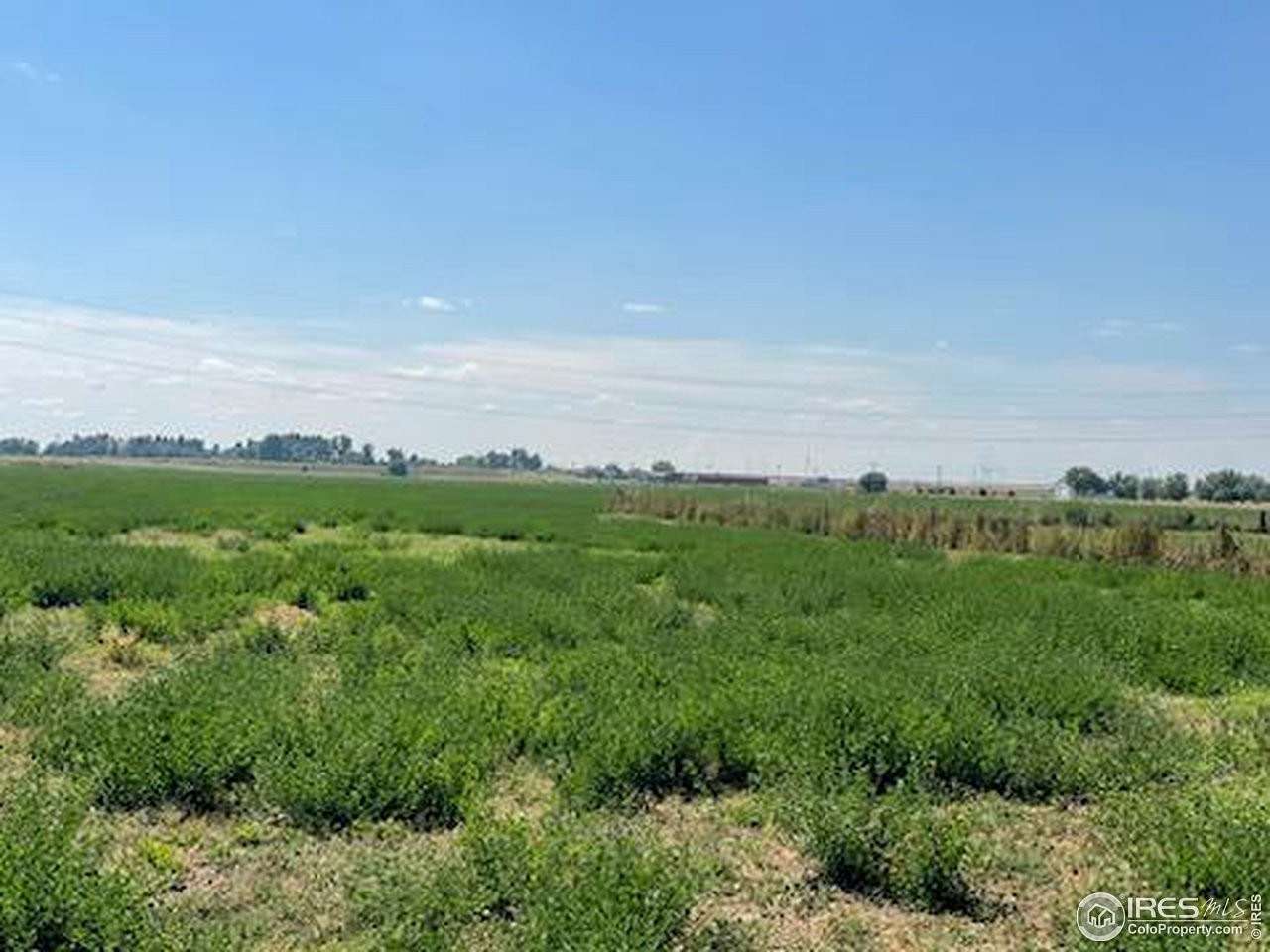 35 Acres of Agricultural Land for Sale in Keenesburg, Colorado