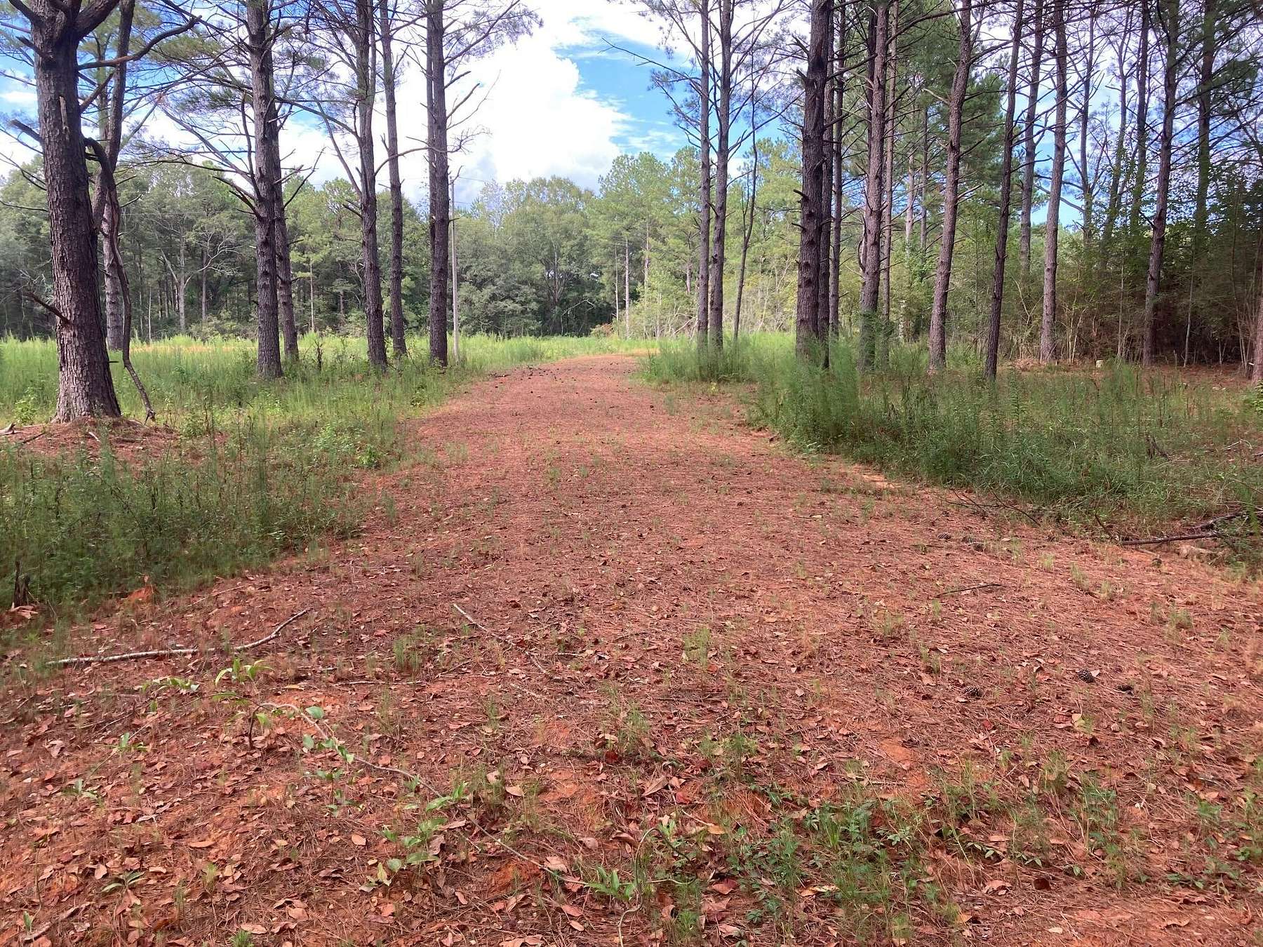 3.7 Acres of Residential Land for Sale in Lumberton, Mississippi